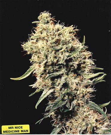 Medicine Man