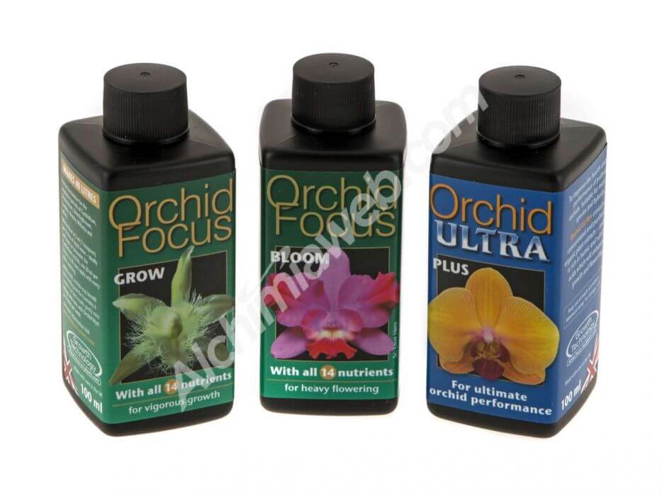 Orchid Focus Gift Pack
