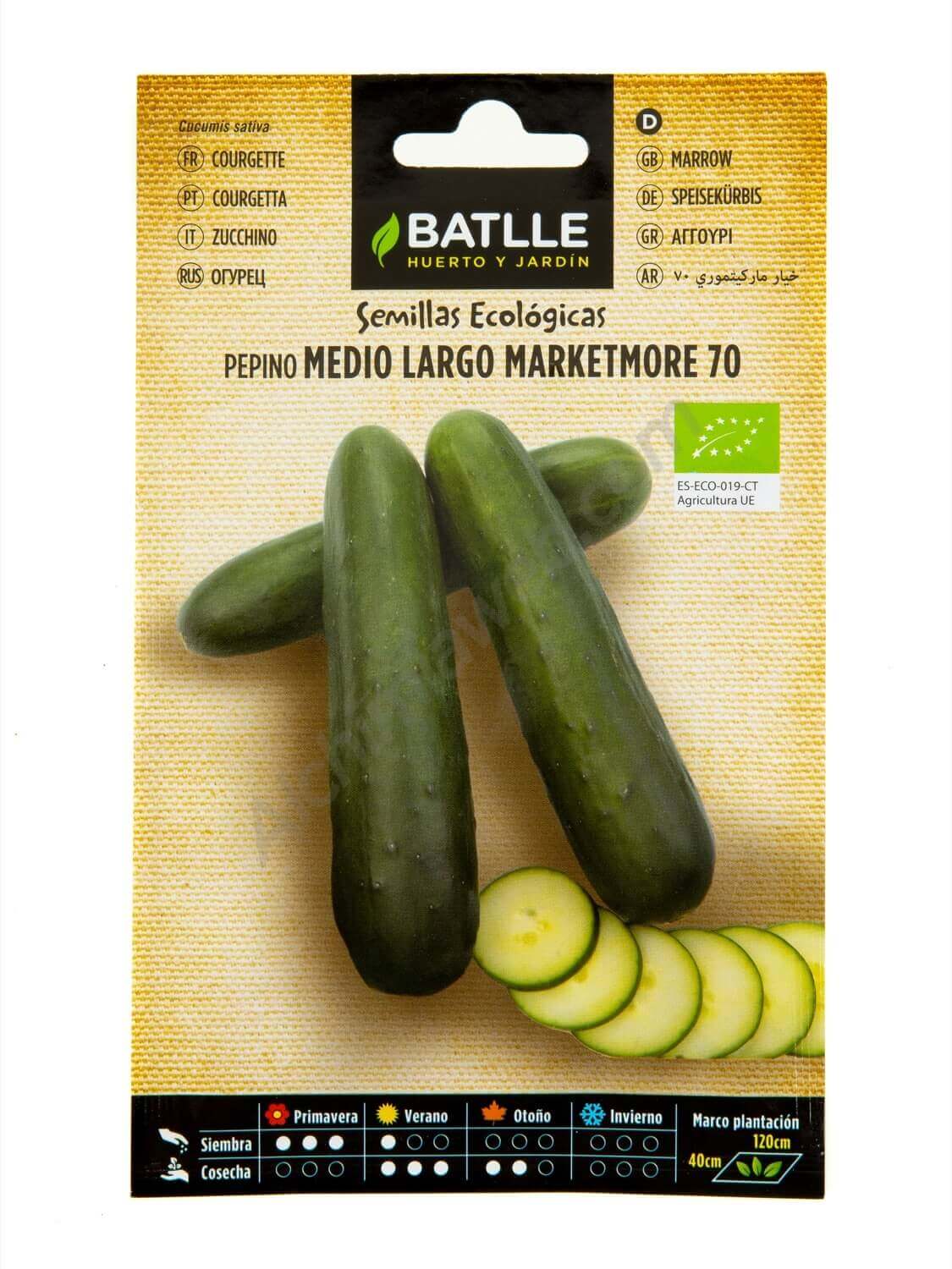 Semillas Batlle Graine pour courgettes Blanc Moyen Long