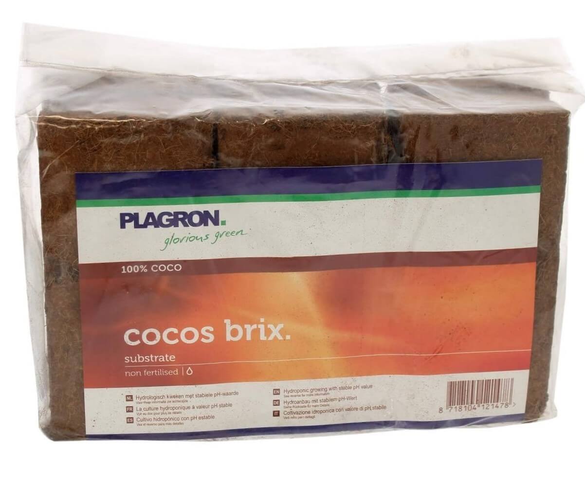 Plagron Cocos Brix