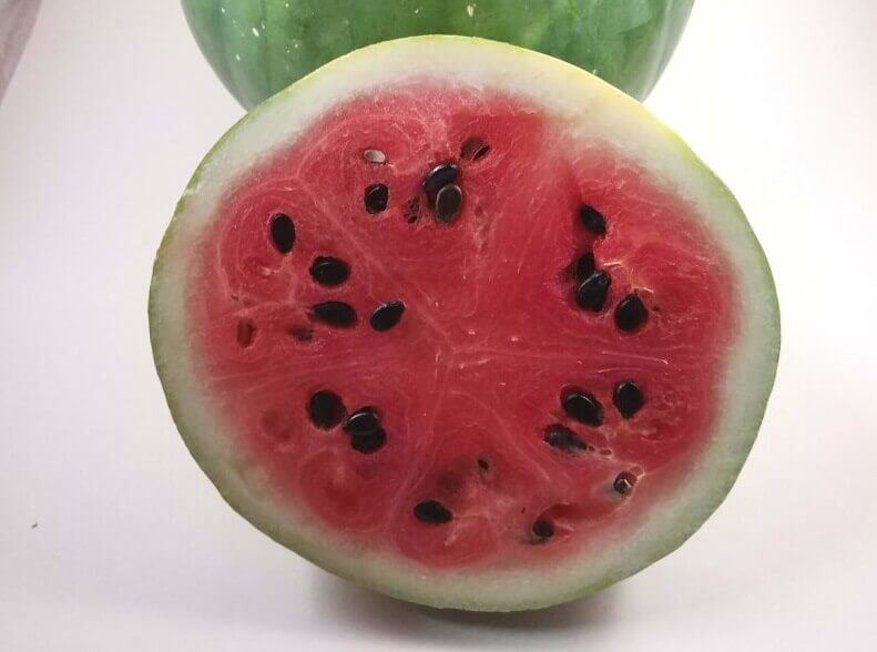 Organic Country Watermelon - Les Refardes