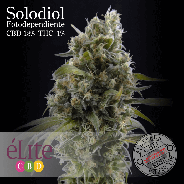 Solodiol Clasica