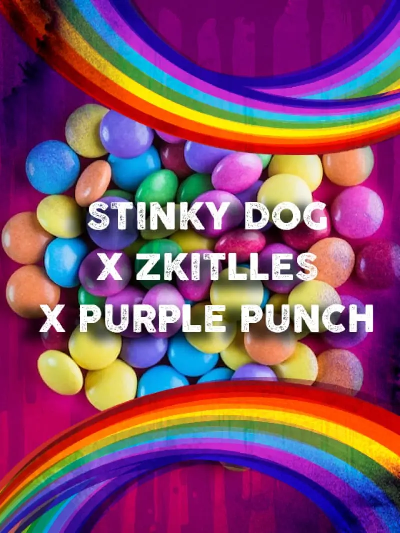 (Stinky Dog x Zkittles) x Purple Punch