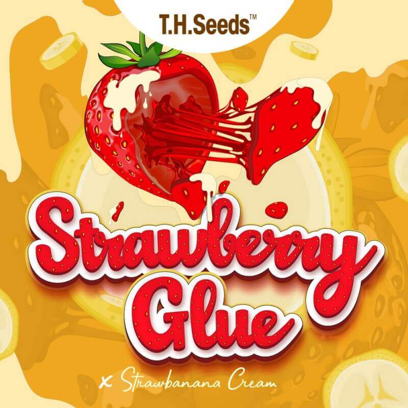 Strawberry Glue X SBC - Reg