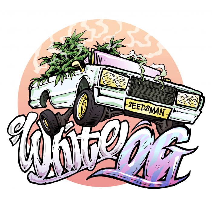 The White OG