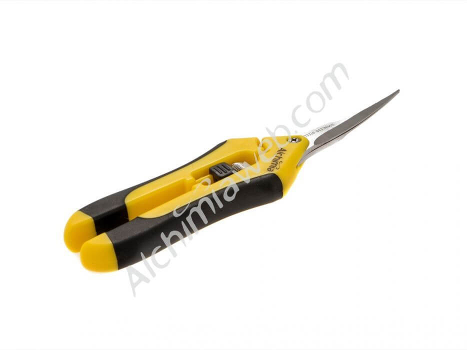 Alchimia Bud Clean curved tips trimming scissors