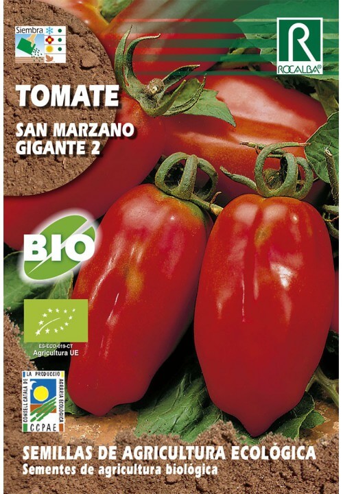  Rocalba San Marzano Gigante 2 Organic Tomato Seeds