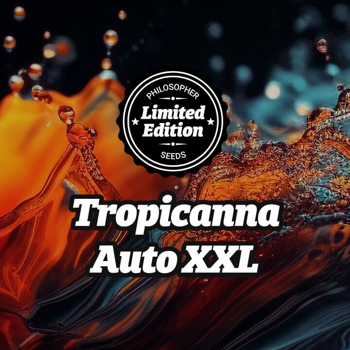 Tropicanna Auto XXL
