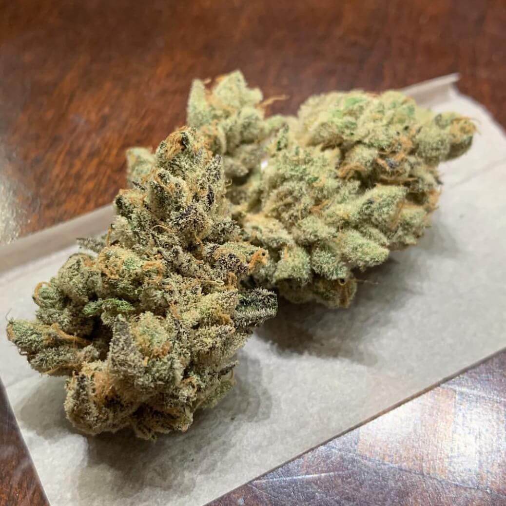 Vente de graines de Wedding Cake x Watermelon Zkittlez de Purple City