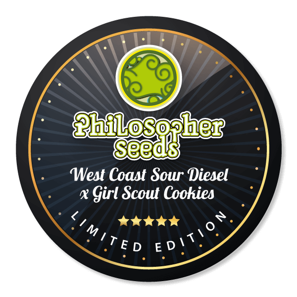 Key West Lime pie