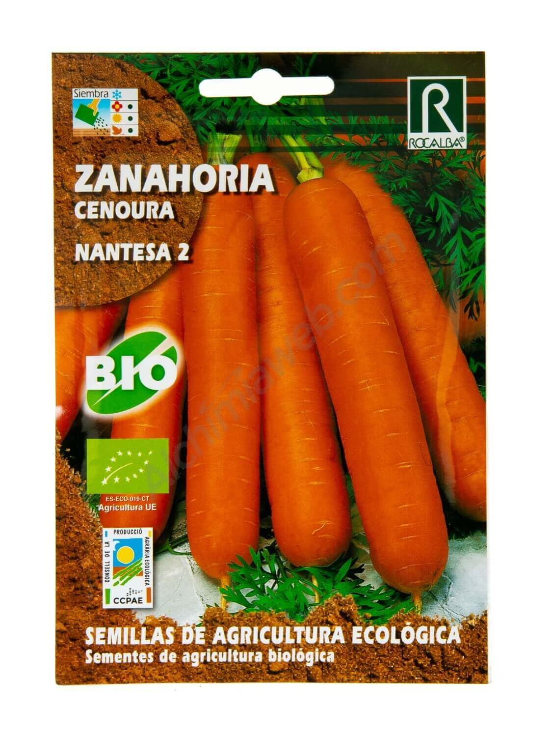 Rocalba - Bio-Karottensamen 'Nantesa 2'