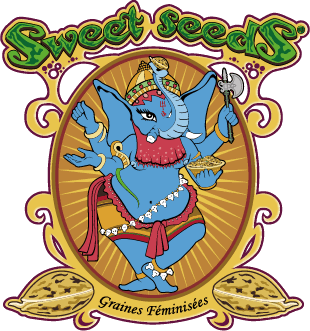 Sweet Seeds