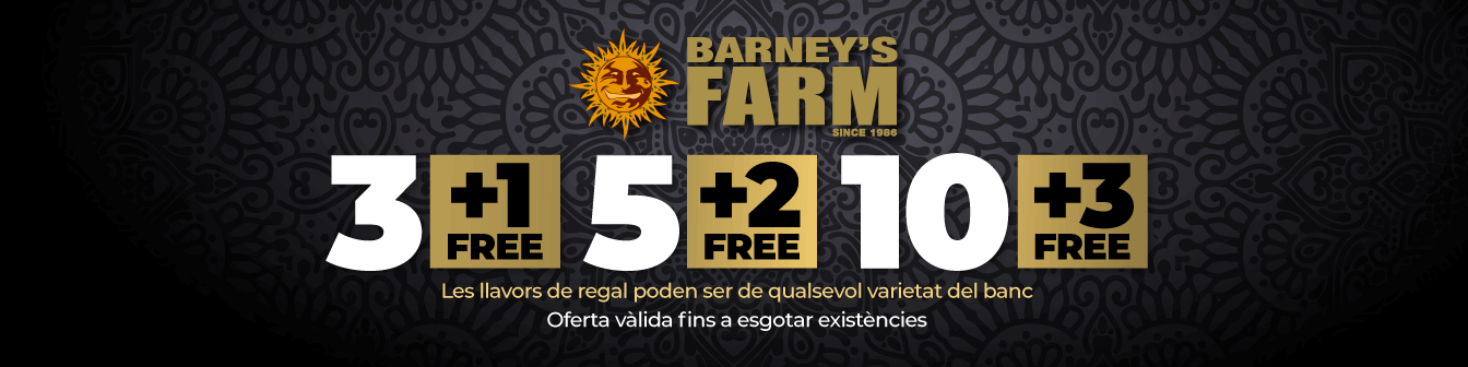 Barneys 3+1 5+2 10+3