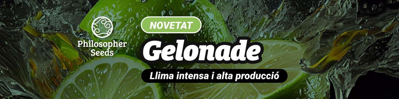 Gelonade