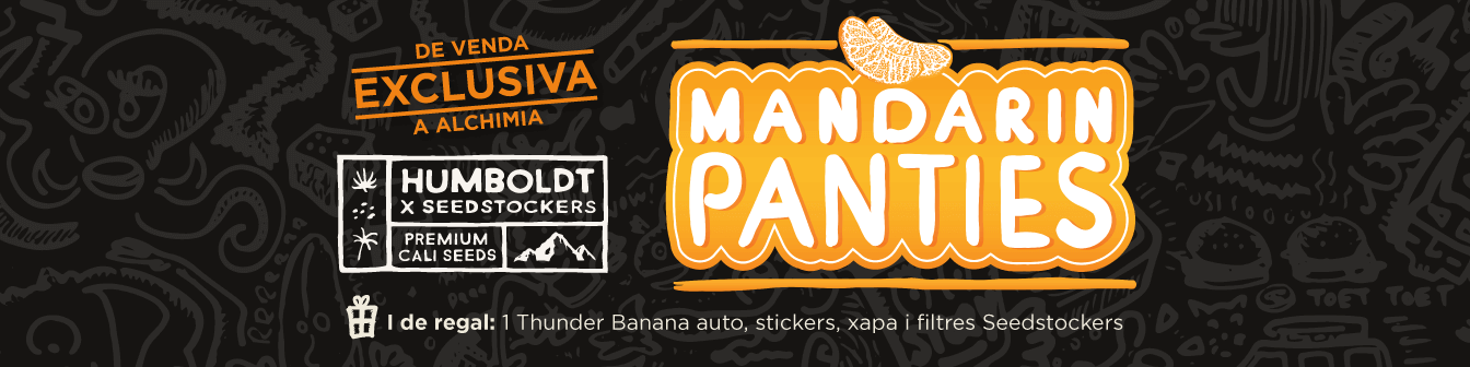 Mandarin Panties