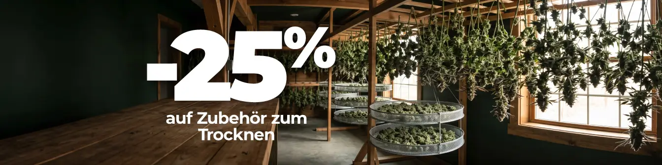 Secado 25% dte Agost26