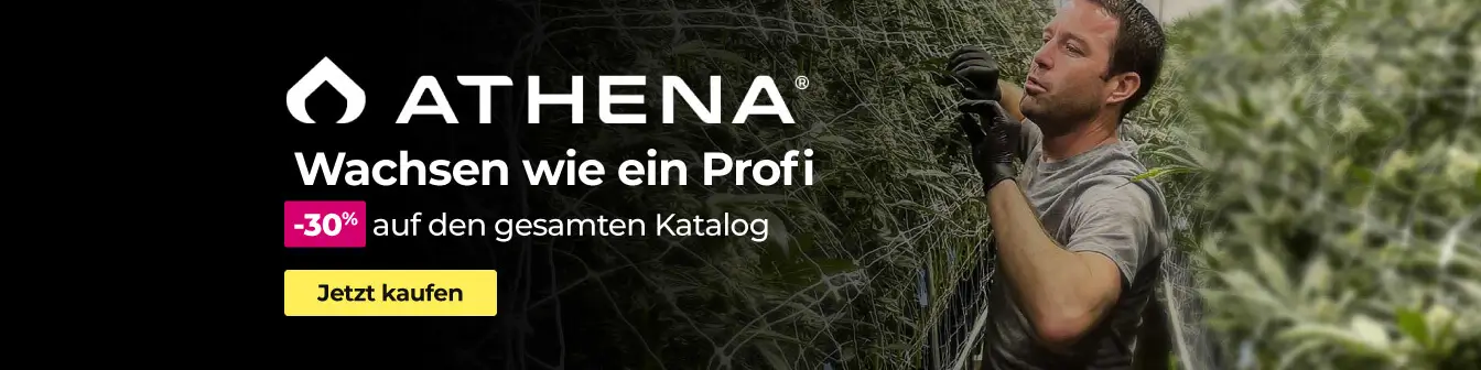 Home Athena -30% Setembre26