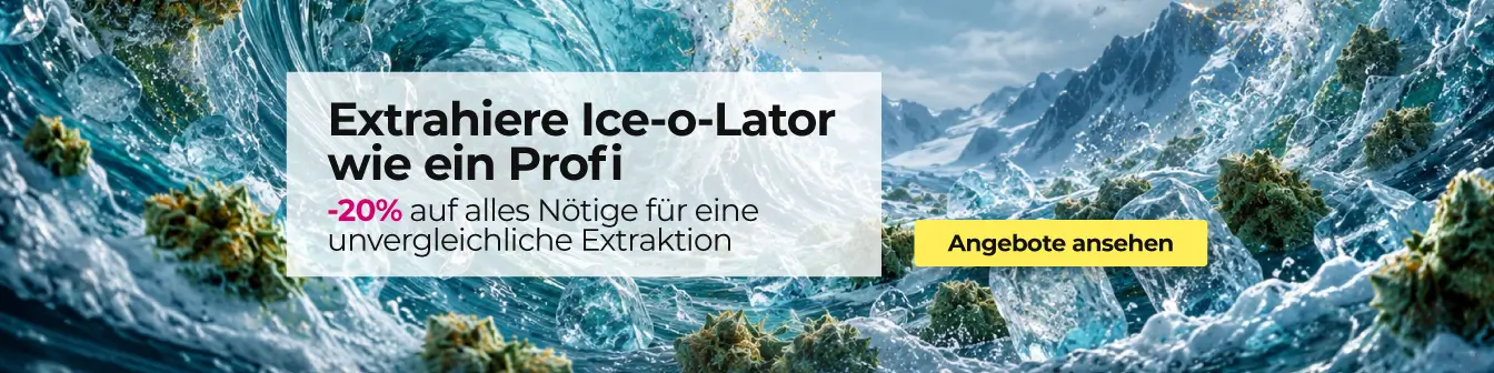 Home Ice o lator -20% 10/26