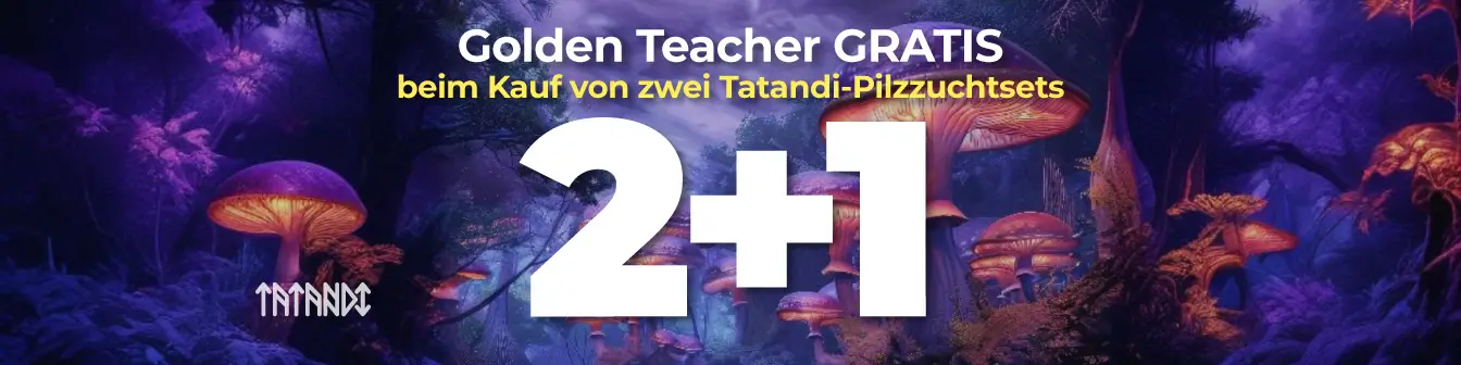 Tatandi 2+1
