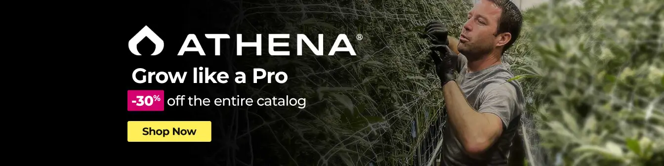 Home Athena -30% Setembre26
