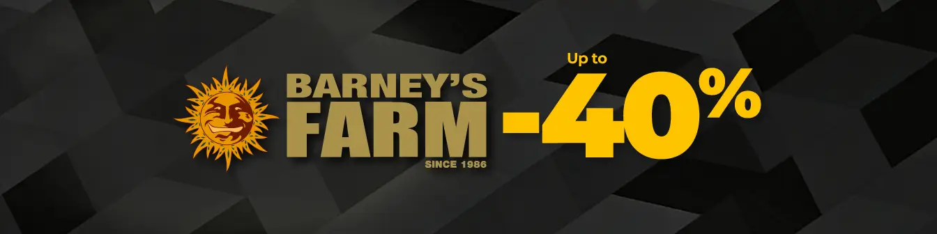 Barney's 40% dte Setembre26