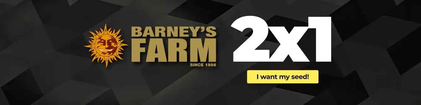 Barneys farm