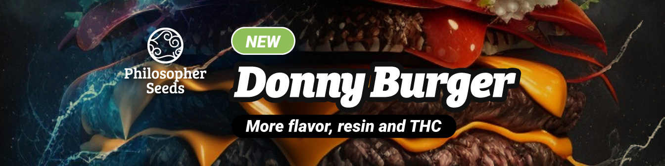 Donny Burger Philo