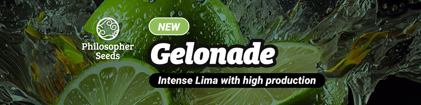 Gelonade