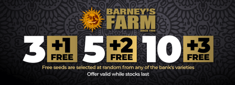 Barneys Març23