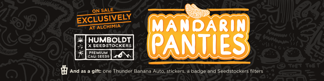 Mandarin Panties