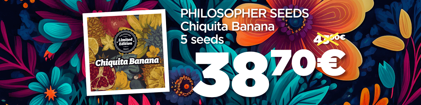 Primavera23 Chiquita