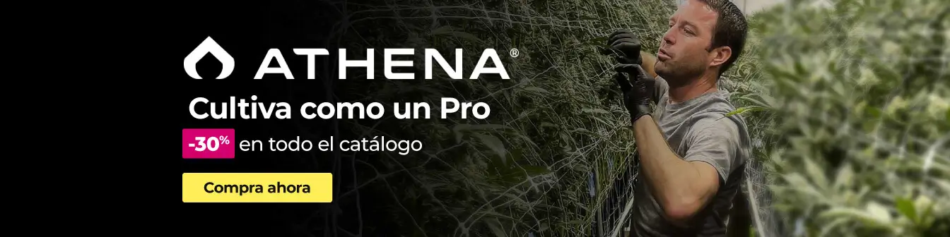 Home Athena -30% Setembre26
