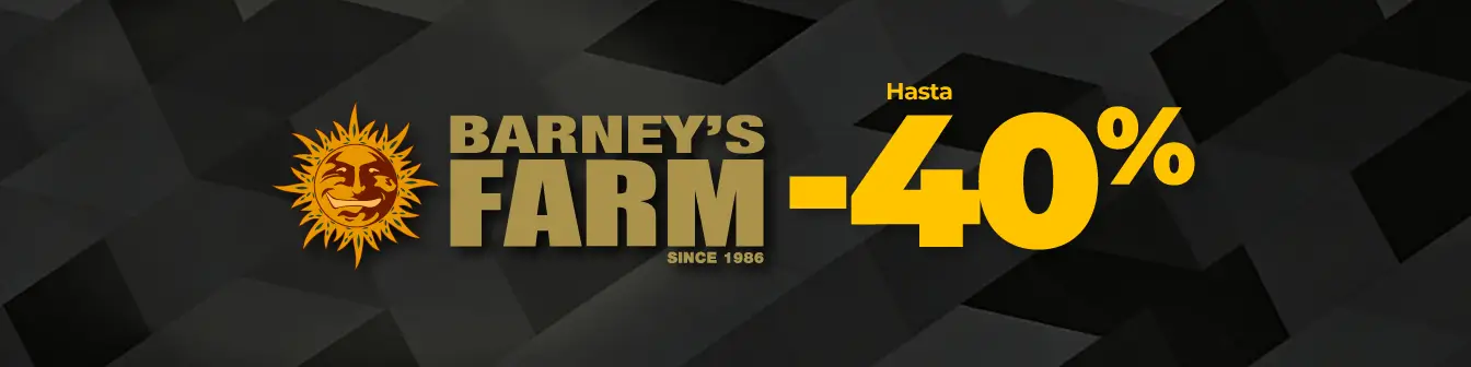 Barney's 40% dte Setembre26