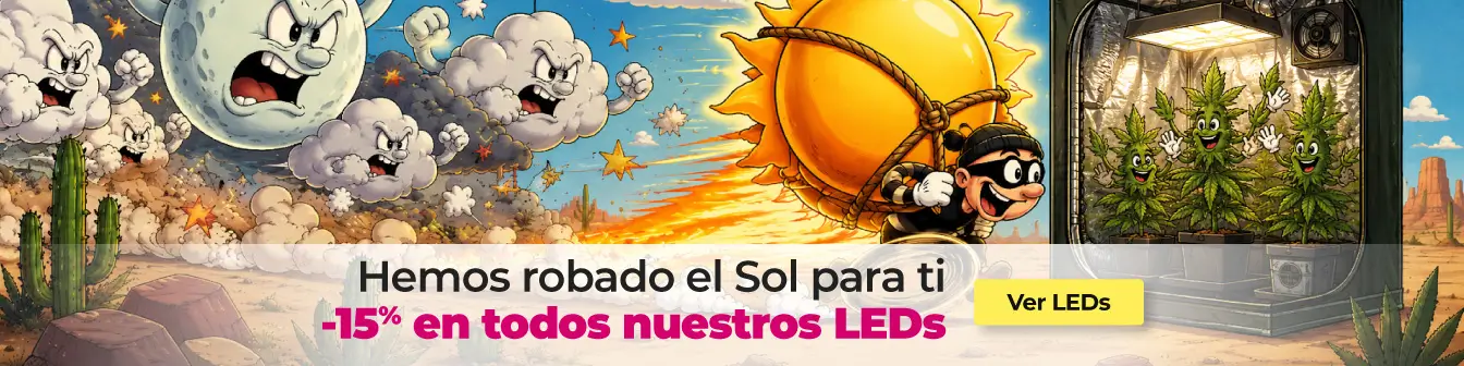 LEDs -15% 
