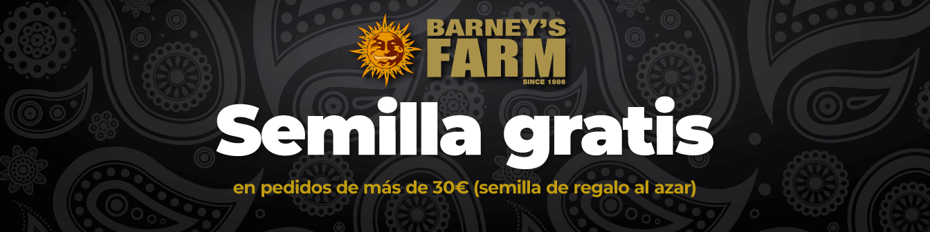 Barneys semilla gratis +30€