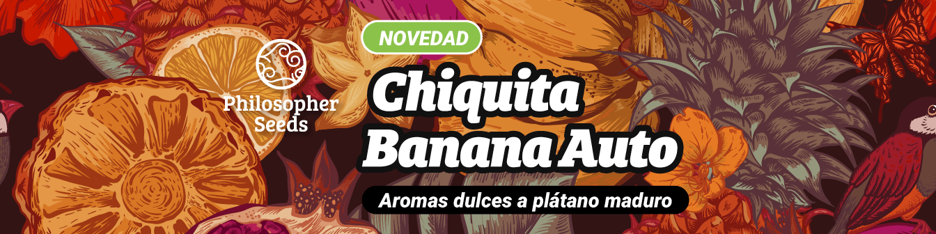 Chiquita banana auto juny23