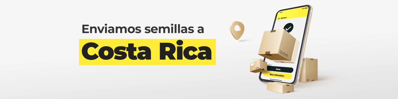 Costa rica 23