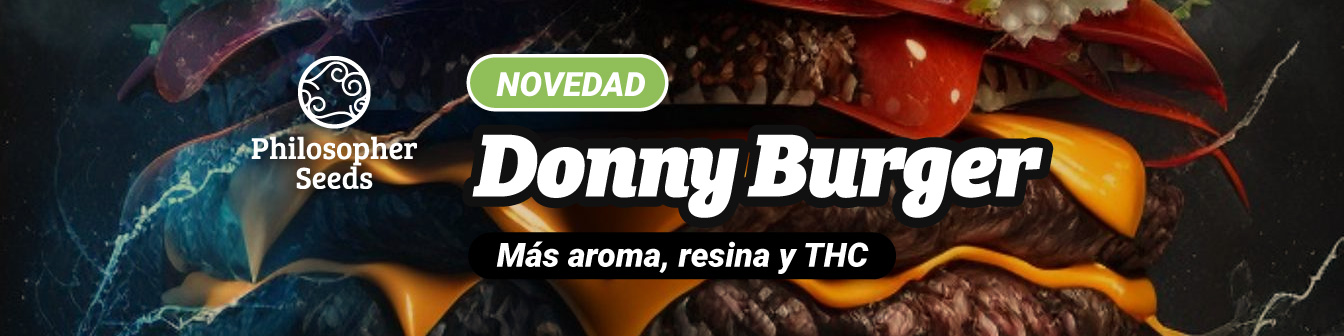 Donny Burger Philo