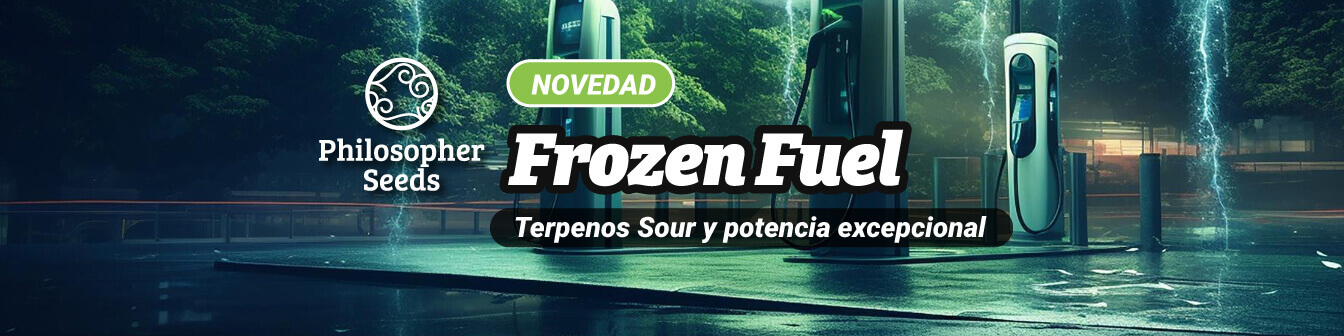 Frozen Fuel