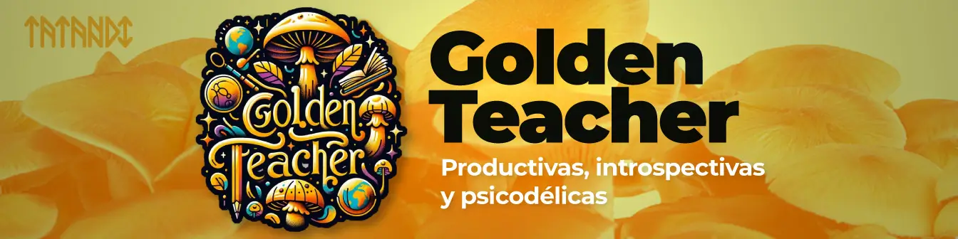 Golden Teacher Tatandi