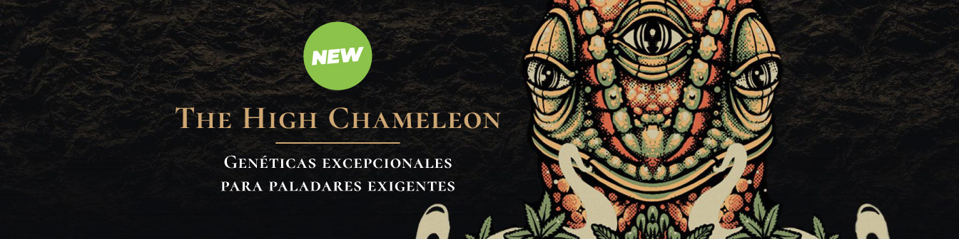 High chameleon