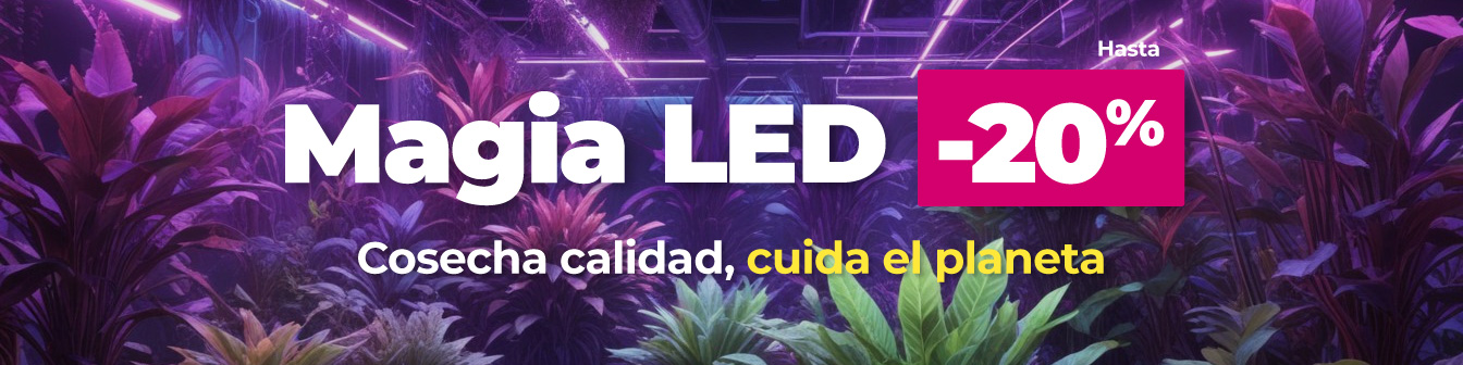 LED hasta 20