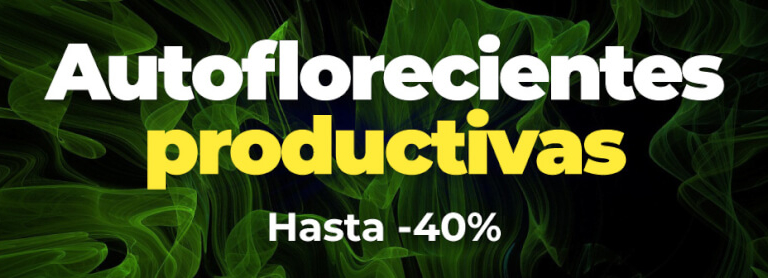 Automáticas productivas juny 23
