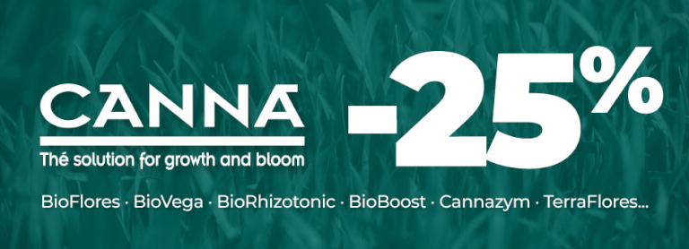 Canna juny 23