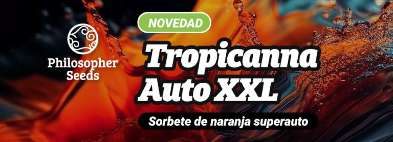 Tropicanna xl auto