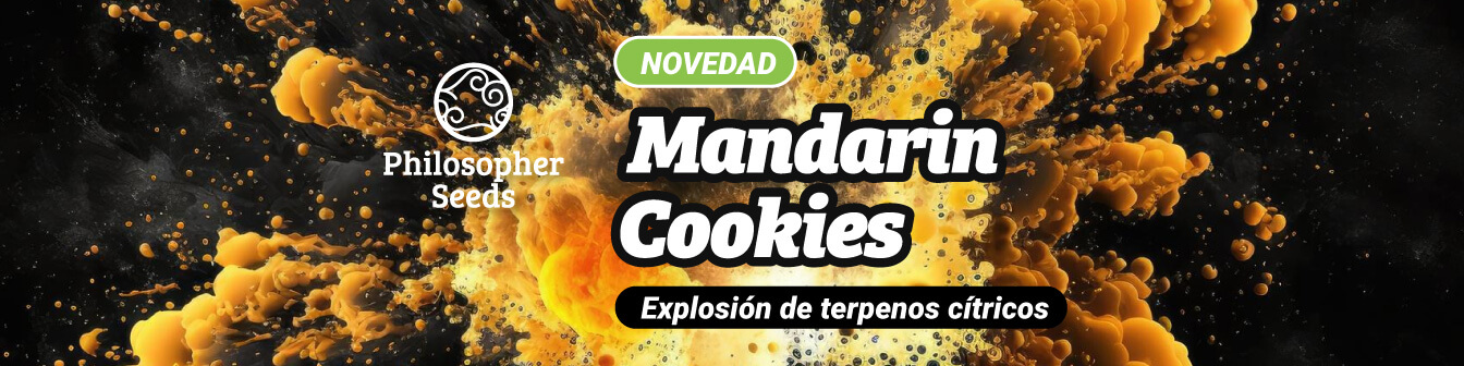 Mandarin cookies