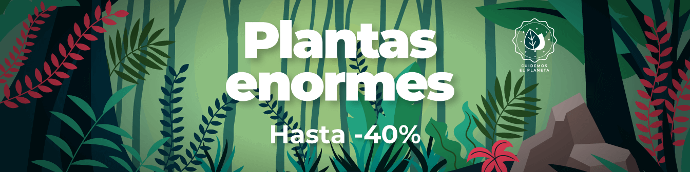 Plantes Enormes Maig23
