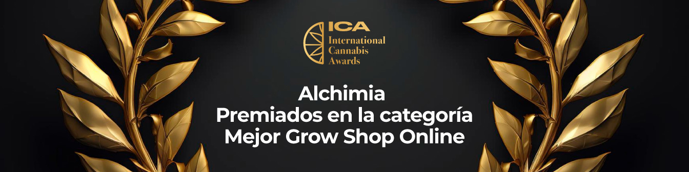 Premio ICA