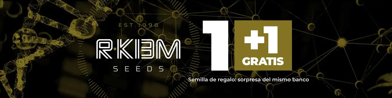 r-kiem