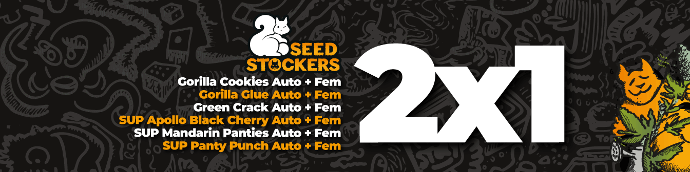 Seed Stockers 2x1